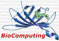 BioComputing logo