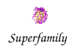 SUPERFAMILY logo